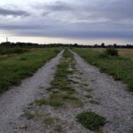 The Role of Emotional Branding in Automotive Influencer Partnerships: Betbhai9 com sign up, Radheexchange, Lotus 365.io