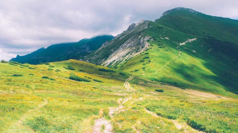 How To Join The 11X Play Ipl Live Events?